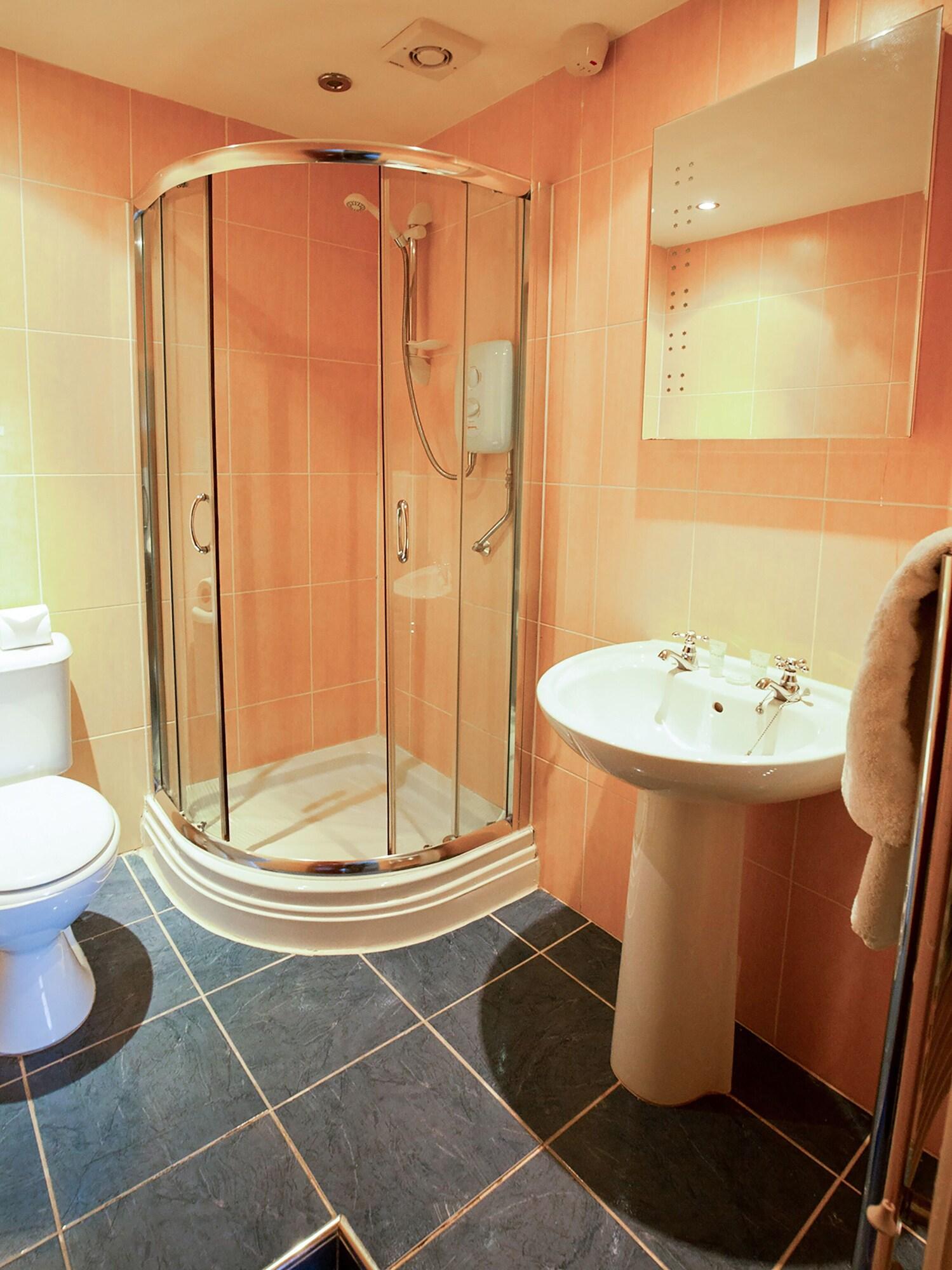 Hotel Oyo Lamphey Hall Pembroke